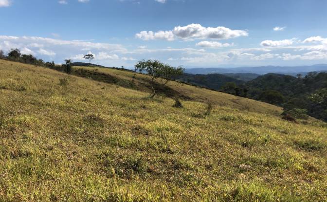 Farm/Ranch for Sale Porto Firme - State of Minas. Photo#9
