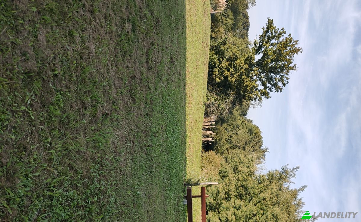 Farm/Ranch for Sale 310 Imp du Hayet, 40290 Estibeaux, Estibeaux, Landes, Nouvelle-Aquitaine, France. Photo 5