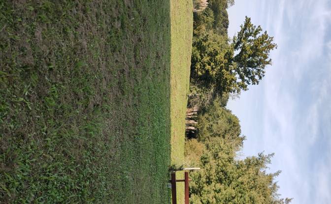 Farm/Ranch for Sale 310 Imp du Hayet. Photo#5