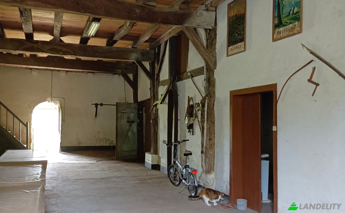 Farm/Ranch for Sale 310 Imp du Hayet, 40290 Estibeaux, Estibeaux, Landes, Nouvelle-Aquitaine, France. Photo 8