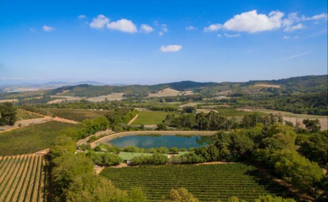 Farm/Ranch for Sale Rustenberg Rd, Stellenbosch. Photo#10 Farm/Ranch for Sale Rustenberg Rd, Stellenbosch. Photo#10