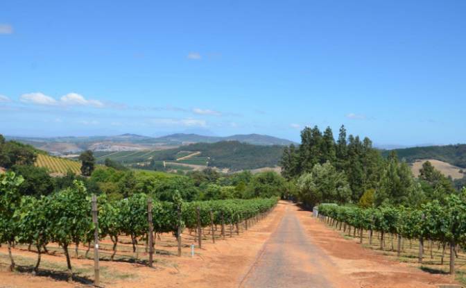 Farm/Ranch for Sale Rustenberg Rd, Stellenbosch. Photo#11 Farm/Ranch for Sale Rustenberg Rd, Stellenbosch. Photo#11