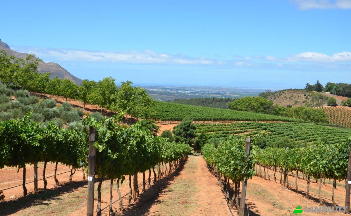 Farm/Ranch for Sale Rustenberg Rd, Stellenbosch, Cape Winelands District Municipality, Western Cape, South Africa. Photo 13