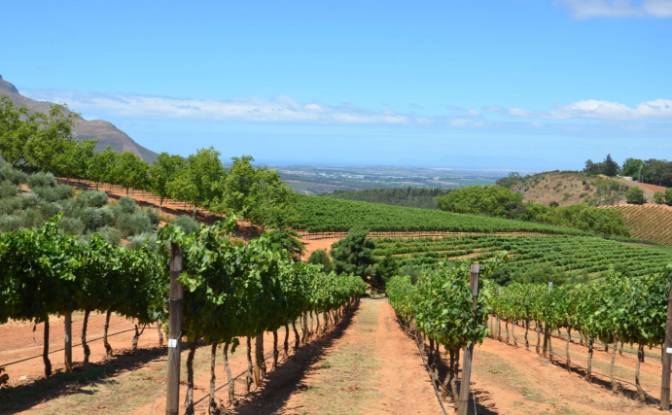 Farm/Ranch for Sale Rustenberg Rd, Stellenbosch. Photo#13 Farm/Ranch for Sale Rustenberg Rd, Stellenbosch. Photo#13