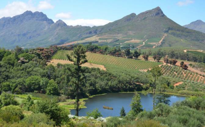 Farm/Ranch for Sale Rustenberg Rd, Stellenbosch. Photo#3 Farm/Ranch for Sale Rustenberg Rd, Stellenbosch. Photo#3