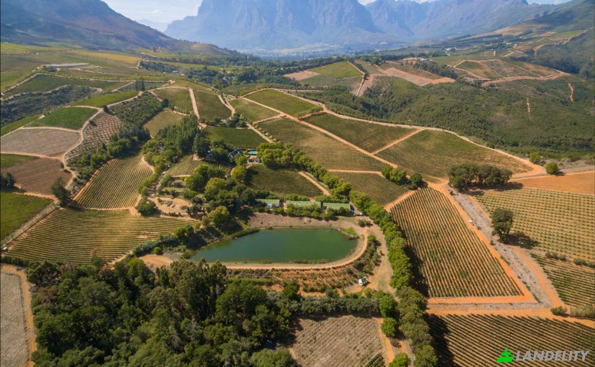 Farm/Ranch for Sale Rustenberg Rd, Stellenbosch, Cape Winelands District Municipality, Western Cape, South Africa. Photo 4