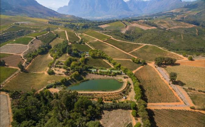Farm/Ranch for Sale Rustenberg Rd, Stellenbosch. Photo#4 Farm/Ranch for Sale Rustenberg Rd, Stellenbosch. Photo#4