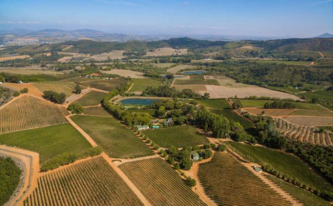 Farm/Ranch for Sale Rustenberg Rd, Stellenbosch. Photo#5 Farm/Ranch for Sale Rustenberg Rd, Stellenbosch. Photo#5