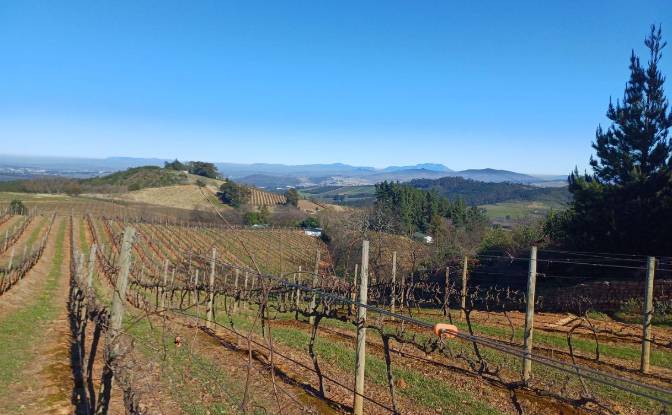 Farm/Ranch for Sale Rustenberg Rd, Stellenbosch. Photo#9 Farm/Ranch for Sale Rustenberg Rd, Stellenbosch. Photo#9