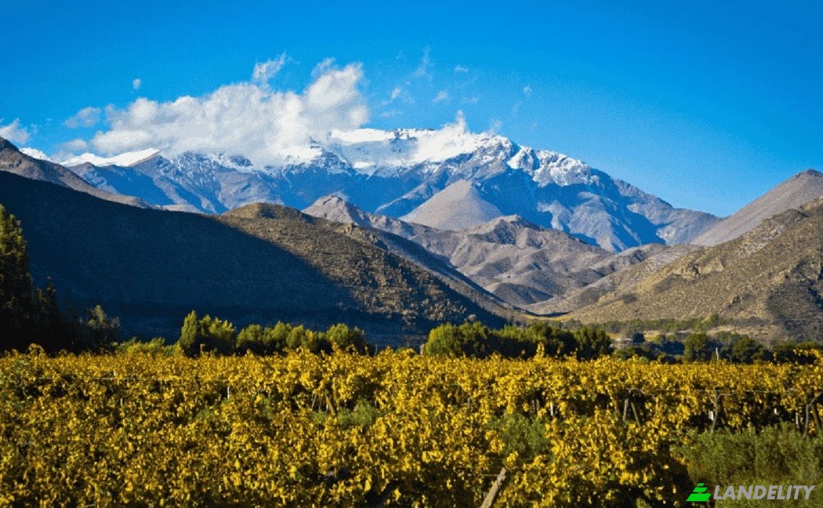 Investing/Development for Sale Carr Interoceanica Sur 2-6, 18620, La Florida, Province of Ilo, Moquegua, Peru. Photo 4