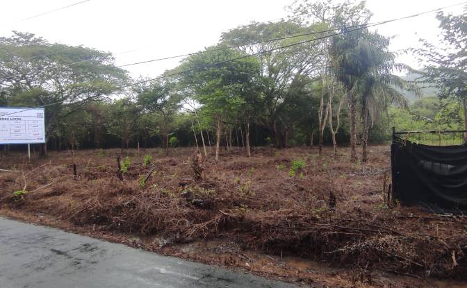 Land Lot for Sale C Cuajiniquil. Photo#3 Land Lot for Sale C Cuajiniquil. Photo#3