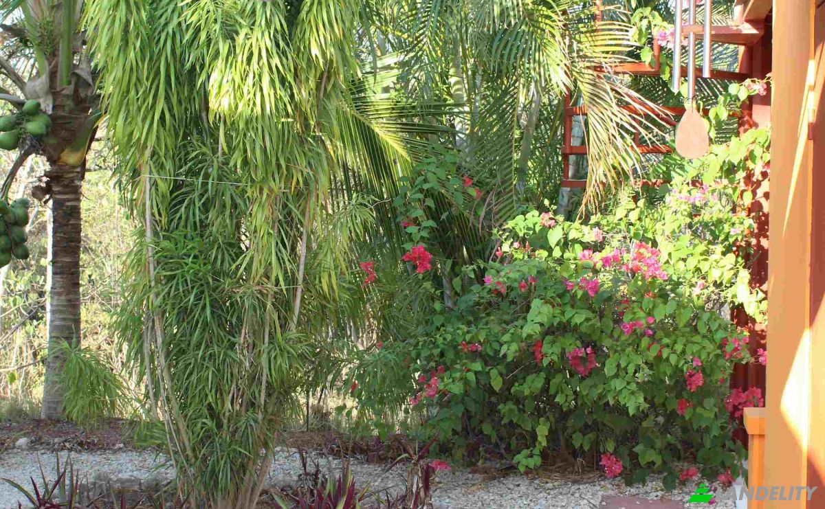 Casa de una sola familia en venta Vía Sin Nombre, Provincia de Guanacaste, Santa Cruz, Costa Rica. Foto 19