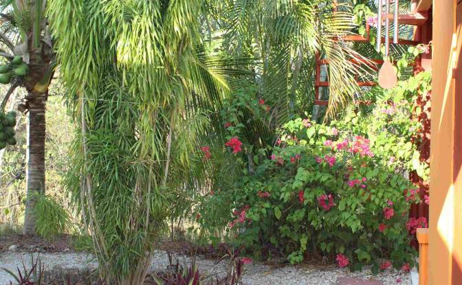 Casa de una sola familia en venta Vía Sin Nombre. Foto#19