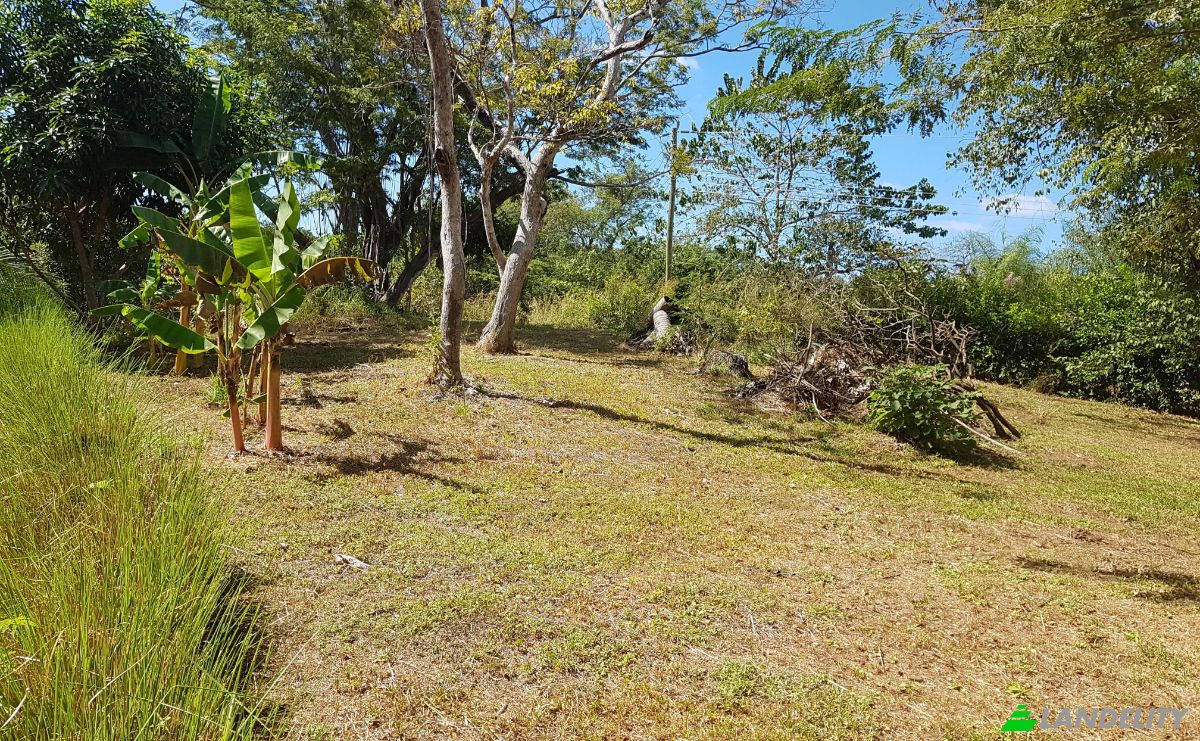 Casa de una sola familia en venta Vía Sin Nombre, Provincia de Guanacaste, Santa Cruz, Costa Rica. Foto 20