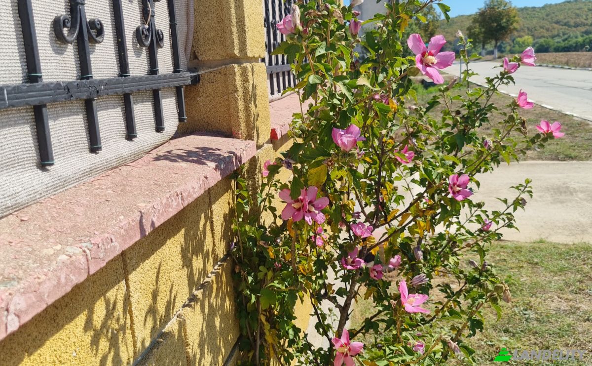 Single Family Home for Sale Put Bez Ime, 9104 Burgas, Popovich, Byala, Varna, Bulgaria. Photo 19