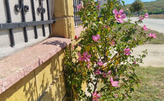 Single Family Home for Sale Put Bez Ime. Photo#19 Single Family Home for Sale Put Bez Ime. Photo#19