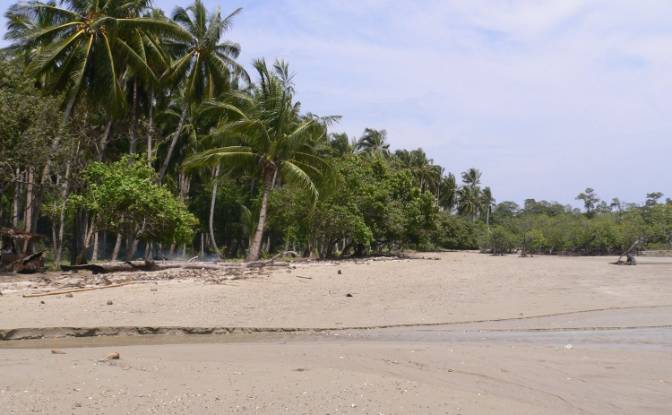 Land Lot for Sale Puerto Princesa North Road. Photo#3 Land Lot for Sale Puerto Princesa North Road. Photo#3