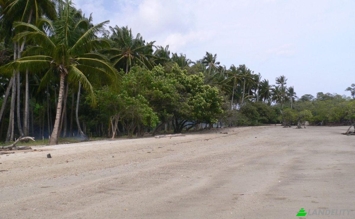 Land Lot for Sale Puerto Princesa North Road, Roxas, Palawan, Mimaropa, Philippines. Photo 1