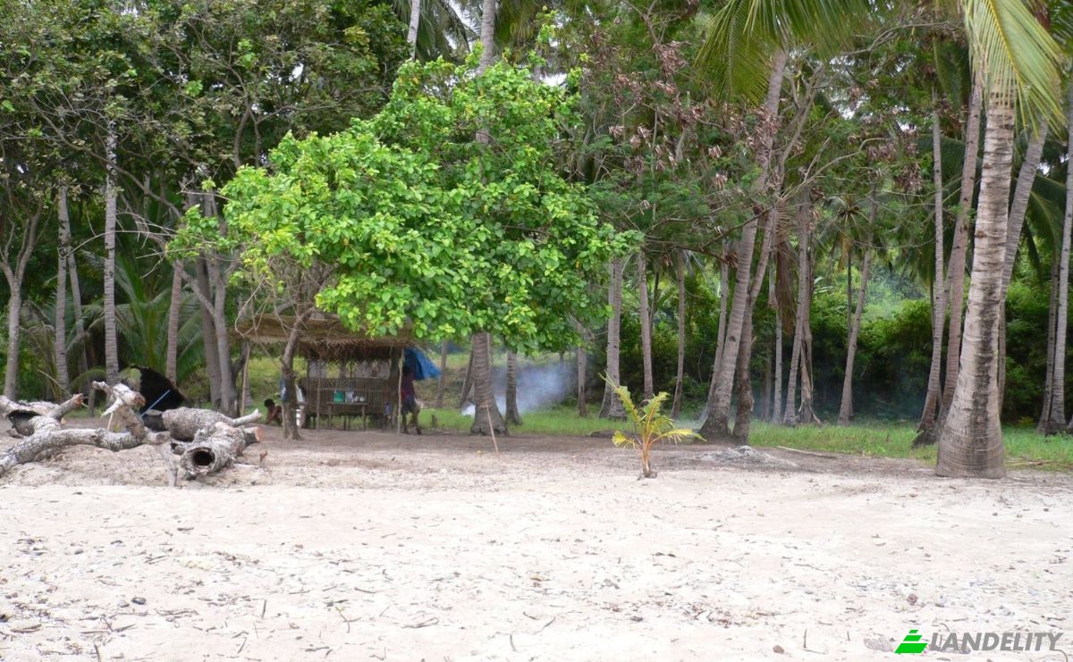 Land Lot for Sale Puerto Princesa North Road, Roxas, Palawan, Mimaropa, Philippines. Photo 2