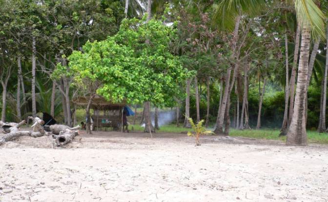 Land Lot for Sale Puerto Princesa North Road. Photo#2 Land Lot for Sale Puerto Princesa North Road. Photo#2