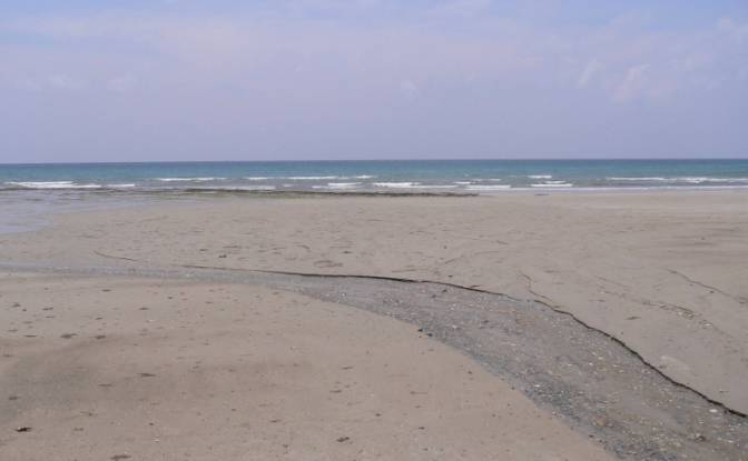 Land Lot for Sale Puerto Princesa North Road. Photo#4 Land Lot for Sale Puerto Princesa North Road. Photo#4
