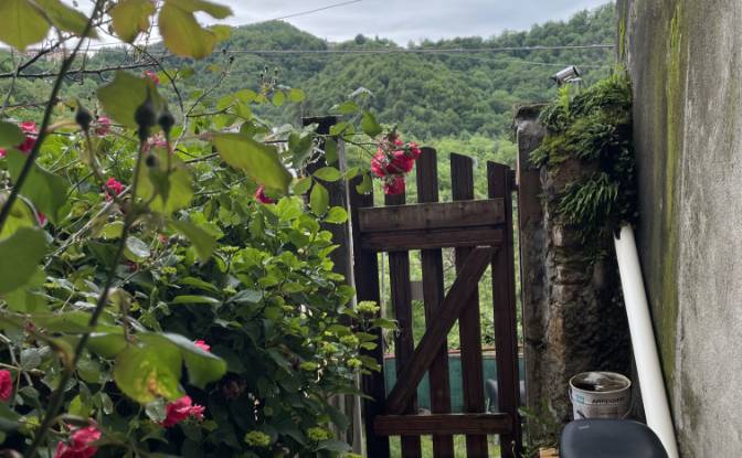 Investing/Development for Sale Localita Arlezze. Photo#8 Investing/Development for Sale Localita Arlezze. Photo#8