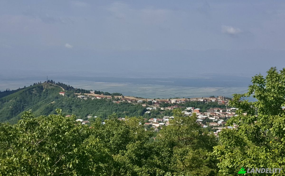 Eengezinswoning Te koop Sighnaghi 4200, Sighnaghi, Sighnaghi Municipality, Kakheti, Georgia. Foto 6