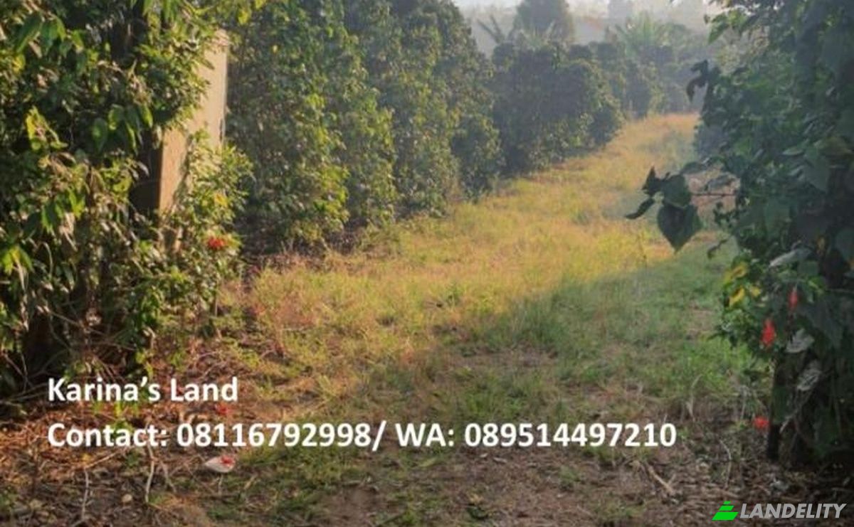 Land Lot for Sale Jalan Tanpa Nama, Kec Tigapanah, Kabupaten Karo, Sumatera Utara, Bunuraya, Karo Regency, North Sumatra, Indonesia. Photo 7