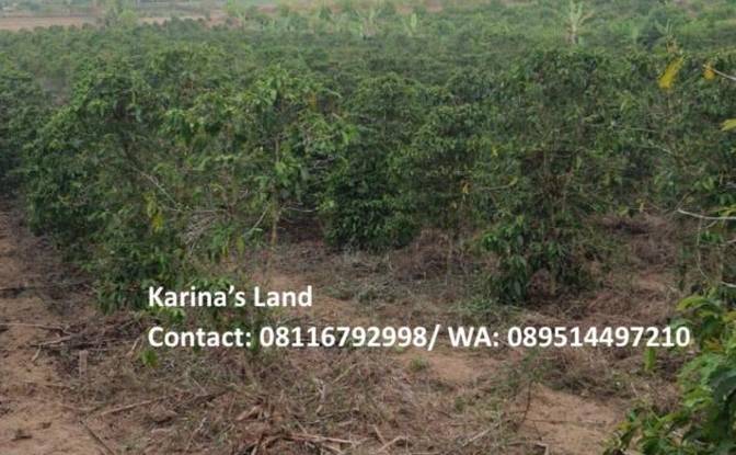 Land Lot for Sale - Bunuraya, Indonesia
