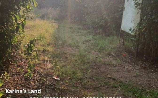 Land Lot for Sale Jalan Tanpa Nama, Kec Tigapanah. Photo#2 Land Lot for Sale Jalan Tanpa Nama, Kec Tigapanah. Photo#2