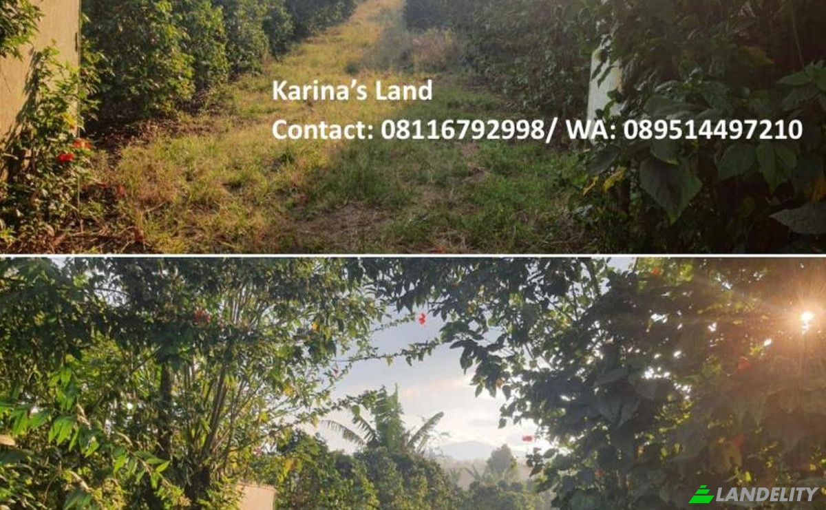 Land Lot for Sale Jalan Tanpa Nama, Kec Tigapanah, Kabupaten Karo, Sumatera Utara, Bunuraya, Karo Regency, North Sumatra, Indonesia. Photo 3