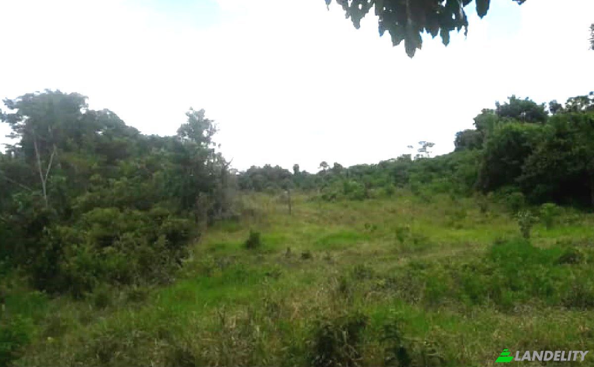 Land Lot for Sale Calleria, 25000, Coronel Portillo, Ucayali, Peru. Photo 4