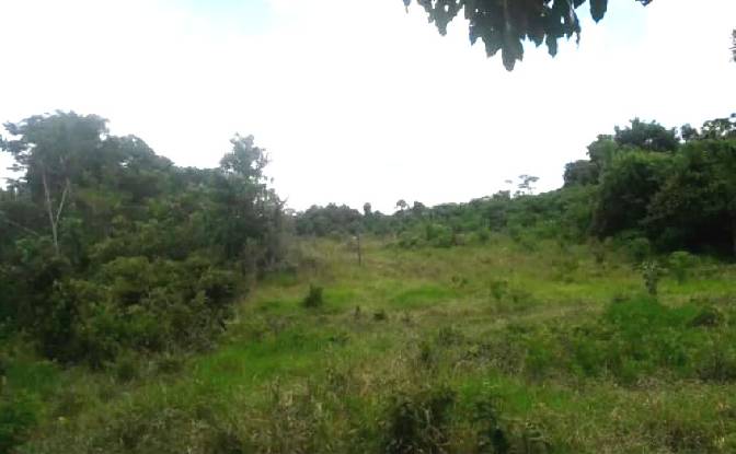Land Lot for Sale Calleria, 25000. Photo#4 Land Lot for Sale Calleria, 25000. Photo#4