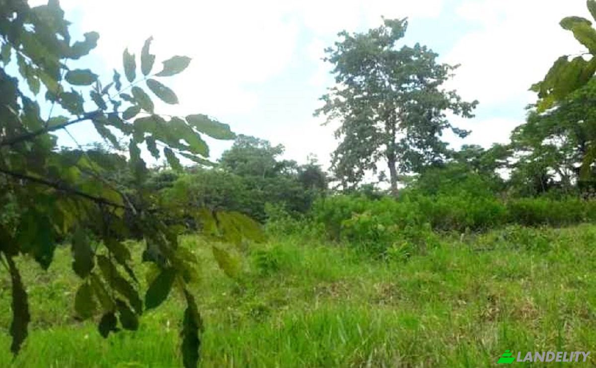 Land Lot for Sale Calleria, 25000, Coronel Portillo, Ucayali, Peru. Photo 3