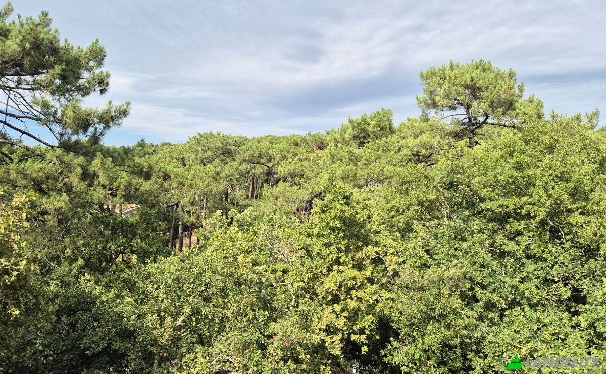 Villa for Sale 10 All Virginie Heriot, 33120 Arcachon, Arcachon, Gironde, Nouvelle-Aquitaine, France. Photo 1