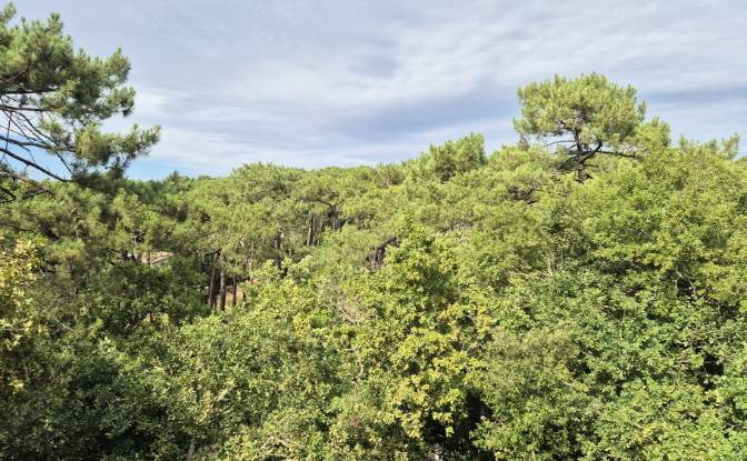 Villa for Sale - Arcachon, France