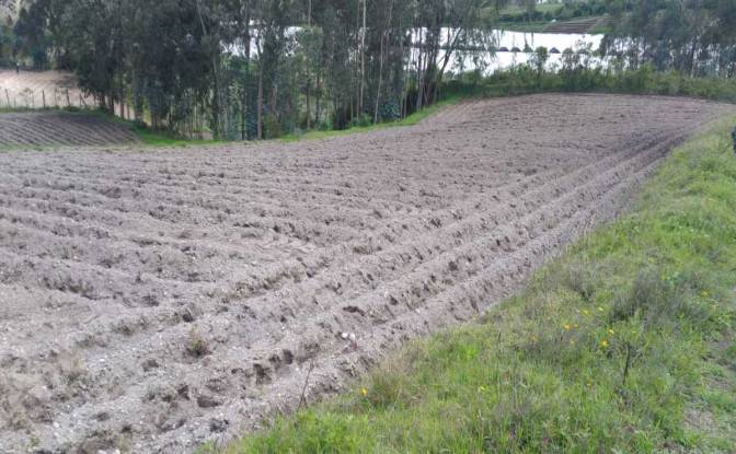 Land Lot for Sale - Cotacachi, Ecuador