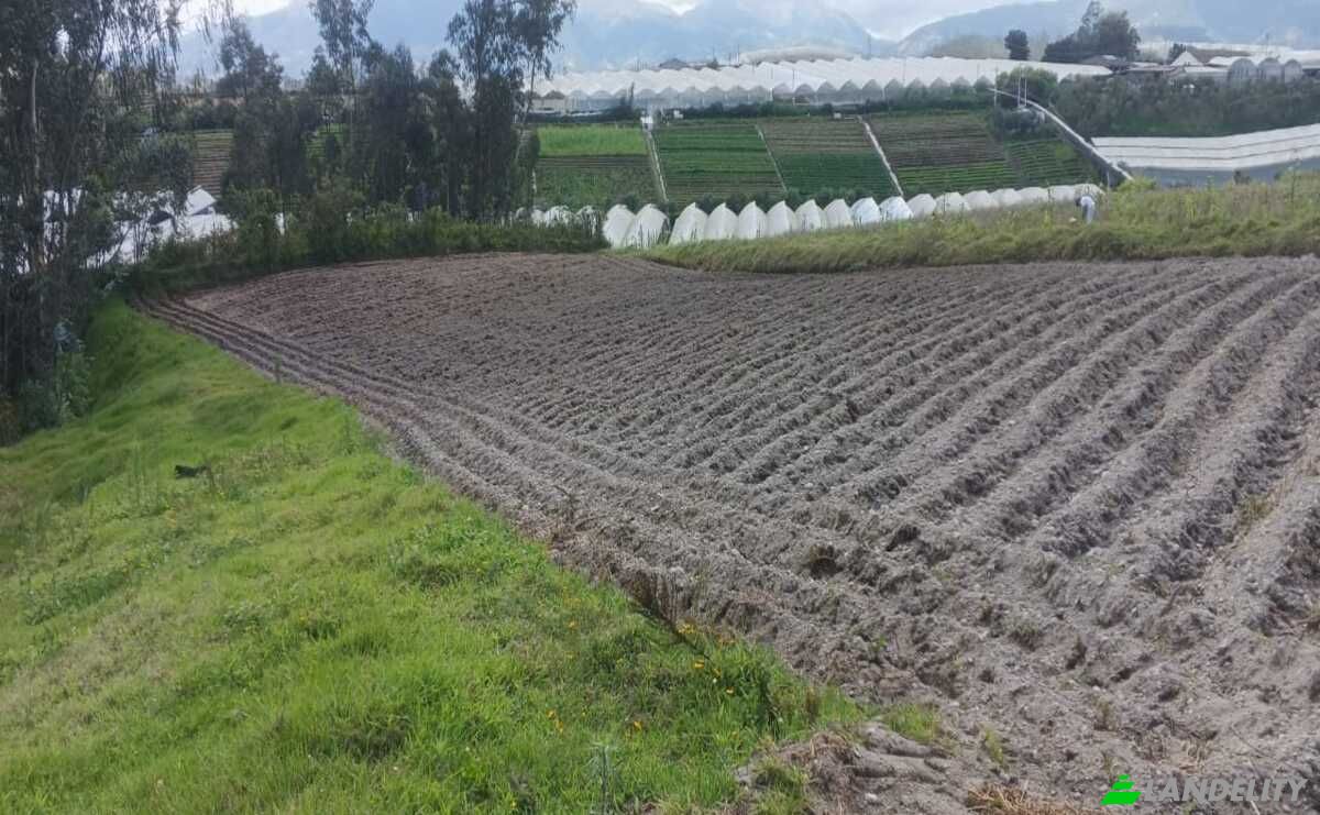 Lote de terreno à venda Via C Principal Comunidad la Calera, Cotacachi, Imbabura, Ecuador. foto 2