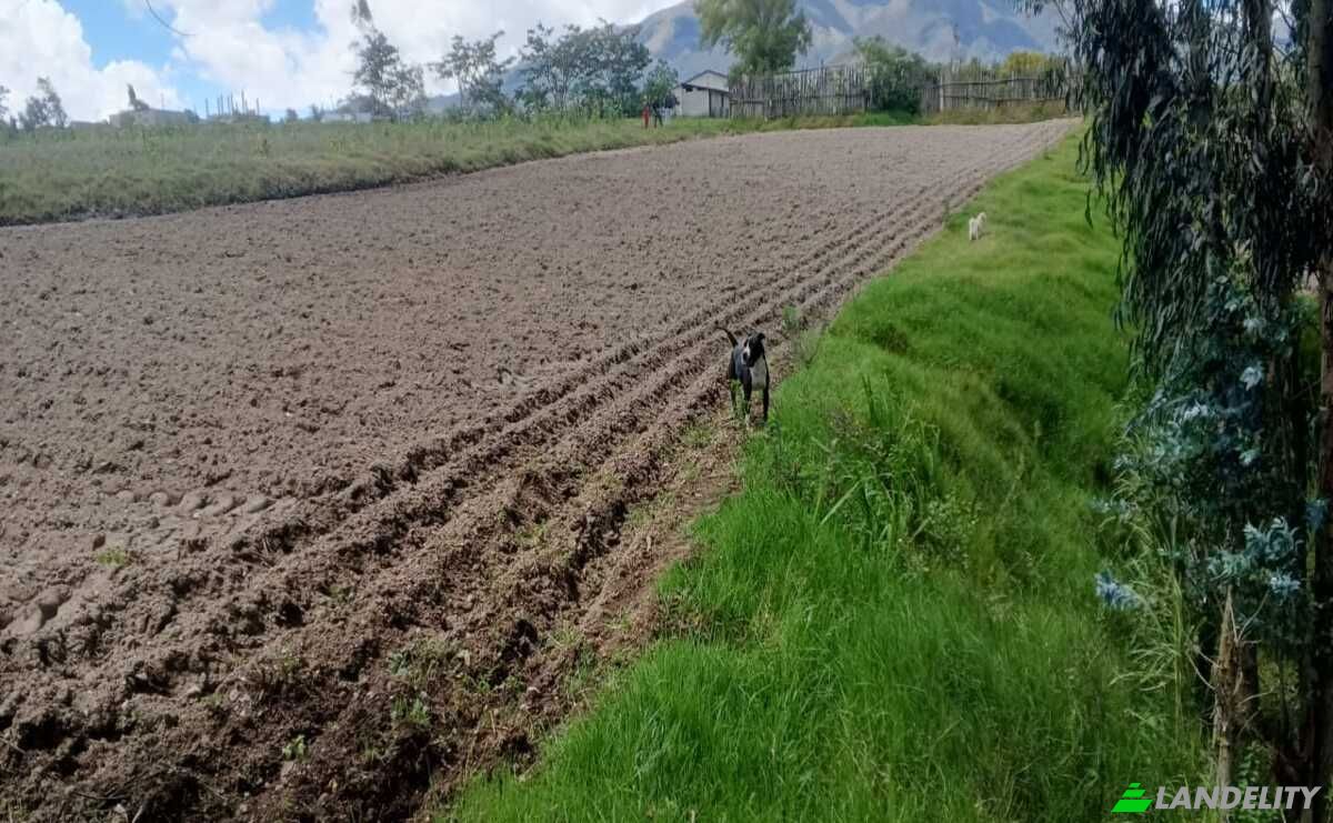 Lote de terreno à venda Via C Principal Comunidad la Calera, Cotacachi, Imbabura, Ecuador. foto 3