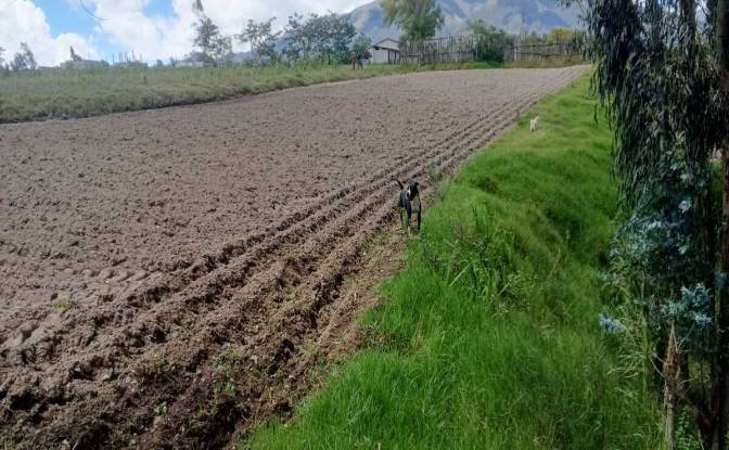 Lote de terreno à venda Via C Principal Comunidad. foto#3