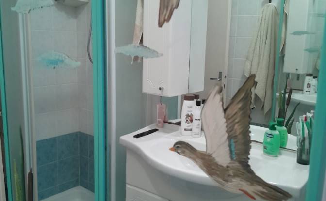 Townhouse for Sale Via Carlo Capozza. Photo#21 Townhouse for Sale Via Carlo Capozza. Photo#21