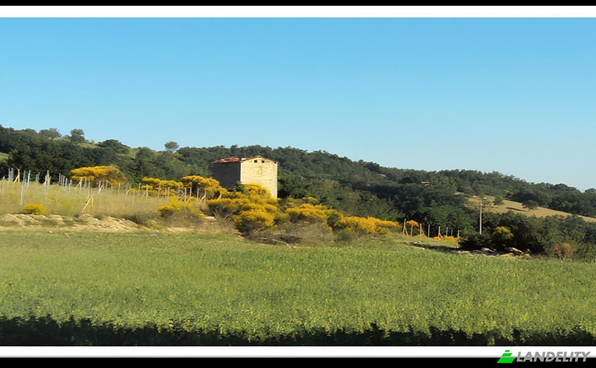Land Lot for Sale Frazione Candeggio, CS2, 06012 Citta di Castello PG, Citta di Castello, Province of Perugia, Umbria, Italy. Photo 3