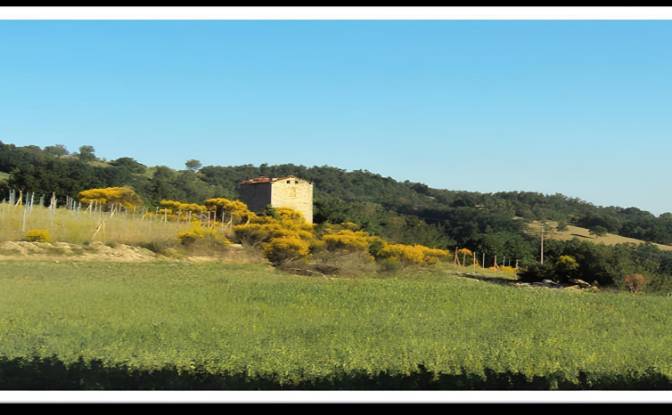 Land Lot for Sale Frazione Candeggio, CS2. Photo#3