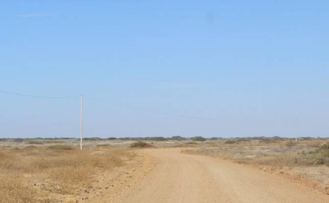 Land Lot for Sale - Becara, Peru