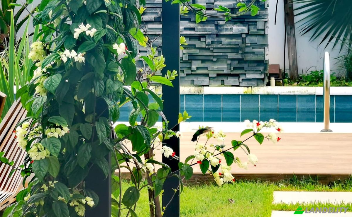 Townhouse for Sale Encarnacion 070107, Encarnacion, Itapua Department, Paraguay. Photo 10