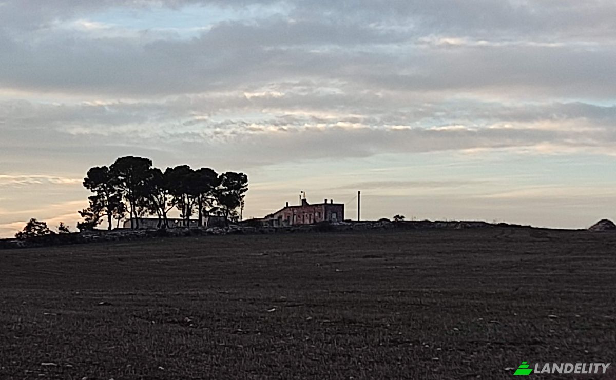 Farm/Ranch for Sale SP5, 74014 Laterza TA, Laterza, Province of Taranto, Apulia, Italy. Photo 3