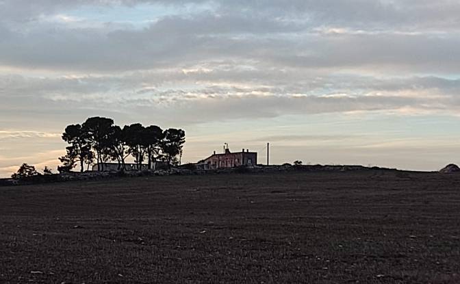 Farm/Ranch for Sale SP5, 74014 Laterza TA, Laterza. Photo#3 Farm/Ranch for Sale SP5, 74014 Laterza TA, Laterza. Photo#3