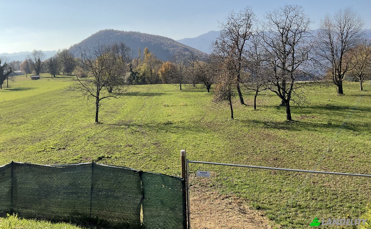 Land Lot for Sale Via Don Magnone, 28011 Armeno NO, Armeno, Province of Novara, Piedmont, Italy. Photo 4
