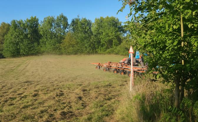 Business for Sale - Luzany, Czechia