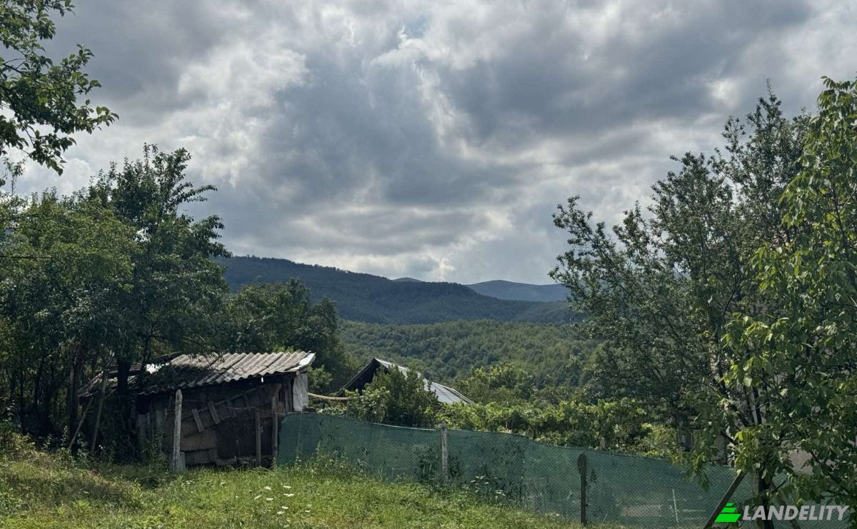 Land Lot for Sale Stara Planina, Popuchk Savojski 20, 3500 Berkovitsa, Berkovitsa, Berkovitza, Montana Province, Bulgaria. Photo 8